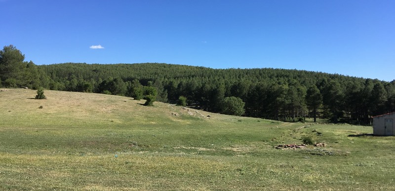 Olmeda del Rey, contra la despoblación rural